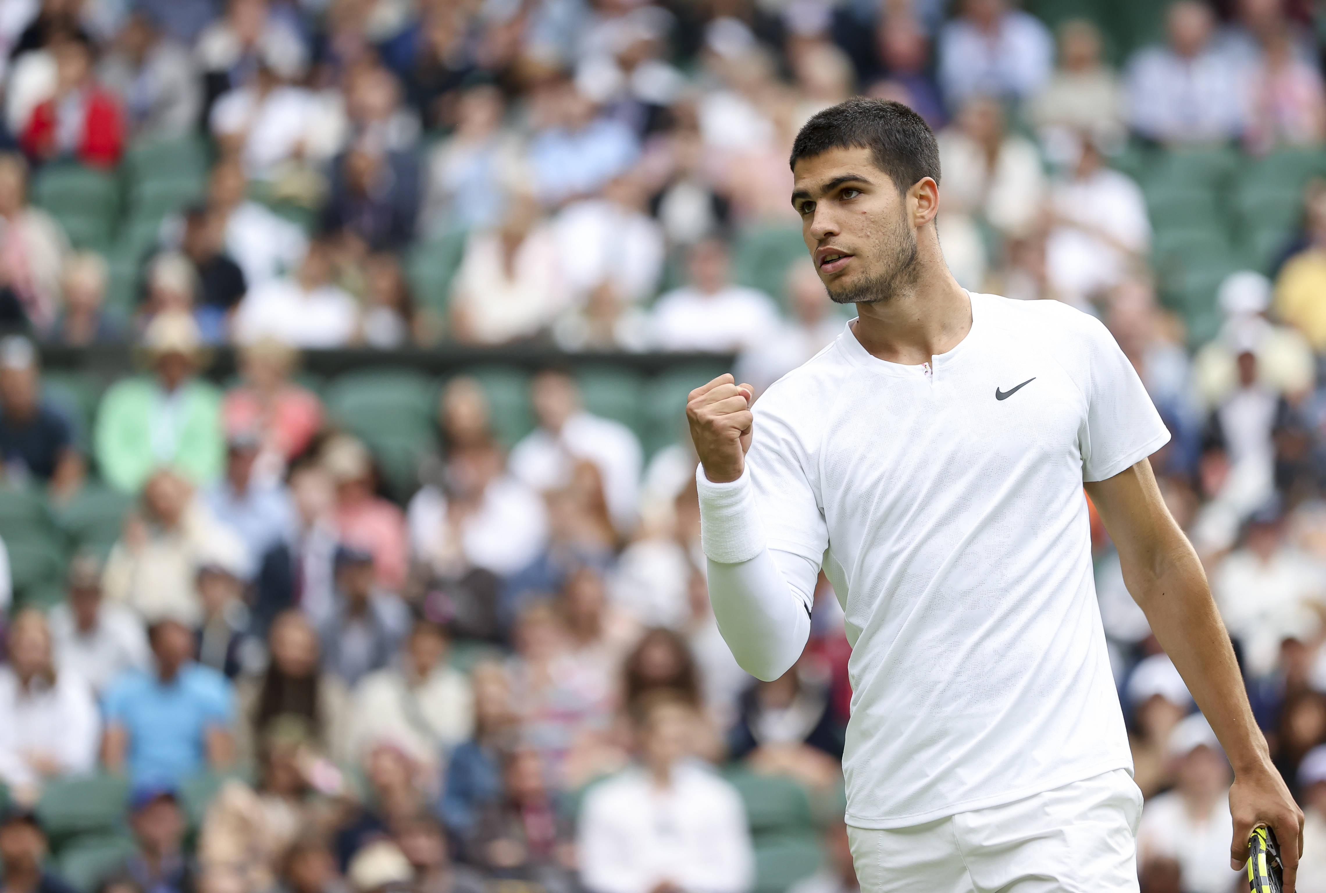 在蓬勃发展 在蓬勃发展